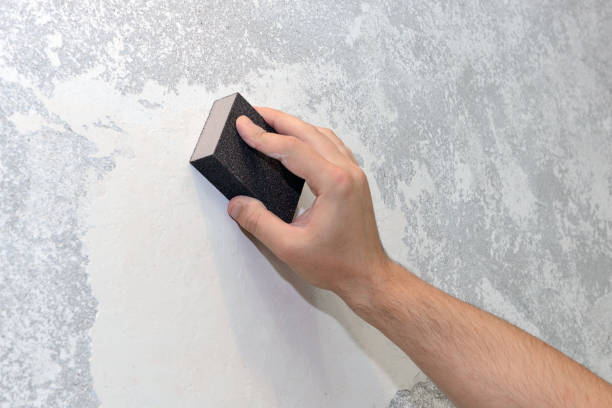 Best Environmental Consulting for Mold Prevention  in Withamsville, OH