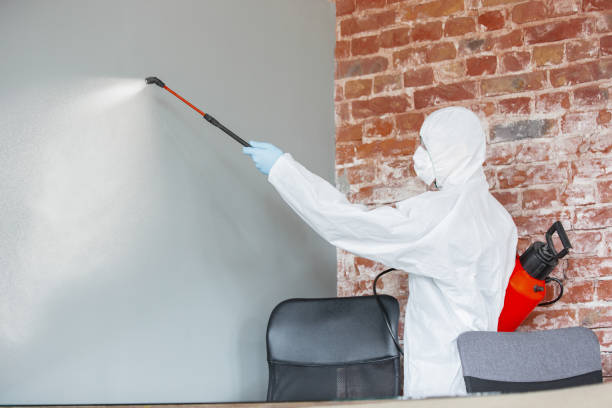 Trusted Withamsville, OH Mold Removal Experts