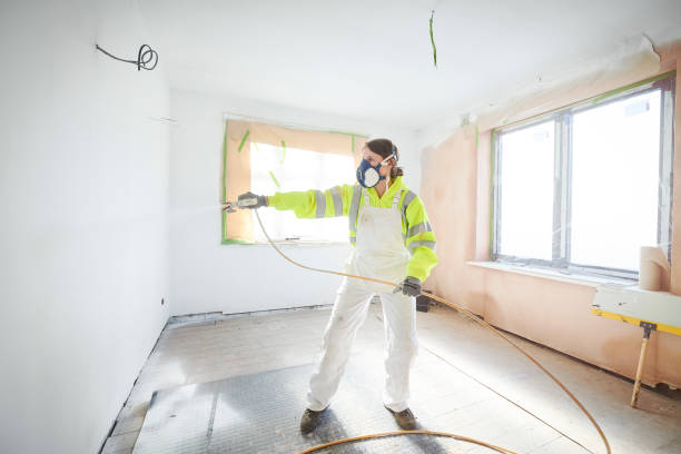 Best Basement Mold Removal  in Withamsville, OH