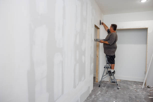 Best Mold Odor Removal Services  in Withamsville, OH