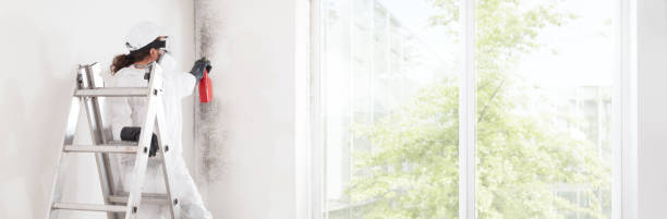 Best Post-Remediation Verification Testing  in Withamsville, OH