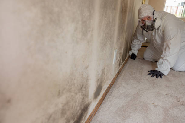 Best Dehumidification Services  in Withamsville, OH