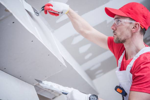 Best Attic Mold Removal  in Withamsville, OH