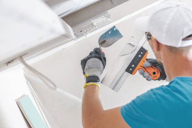 Best Real Estate Mold Inspection  in Withamsville, OH